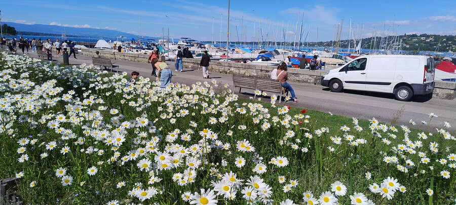 photo,suisse