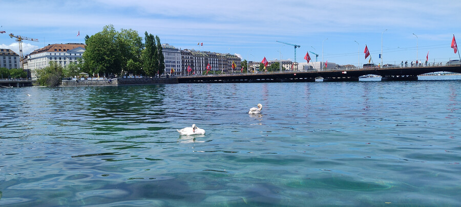 photo,suisse